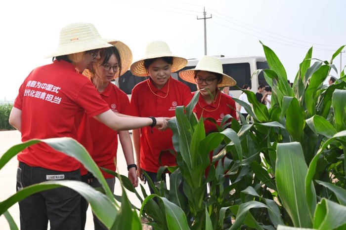 從“嘉庚故里”到“三晉北野”， 他們用專業喚醒鄉村“生命情感”