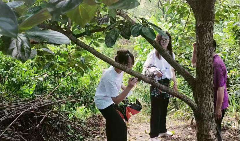 煙臺大學：文旅賦能果業，共促現鄉村振興