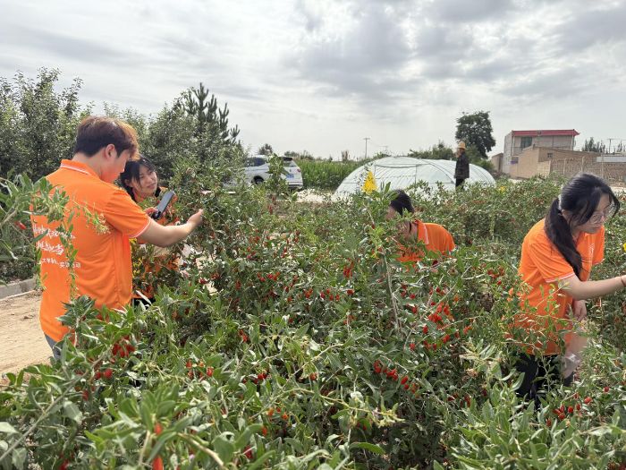蘭州理工大學“紅耀興農(nóng)先鋒隊”暑期實踐團隊赴靖遠縣開展特色農(nóng)業(yè)調(diào)研