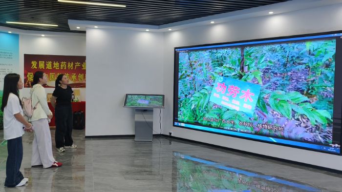 圖為十大功勞木示范區負責人通過智慧大屏為團隊成員介紹基地情況 張君 供圖