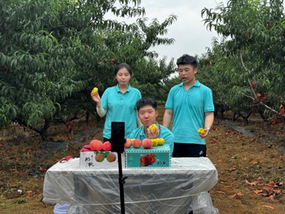 創推廣新路，繪青年新景——淘石夢引實踐隊赴劉臺村開展直播銷售和拍攝宣