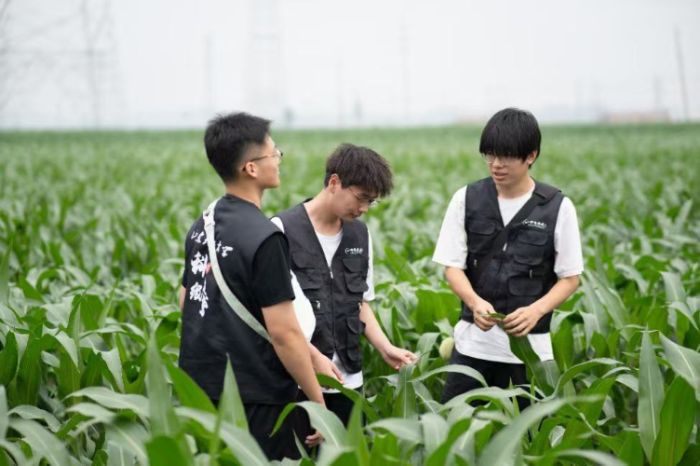 科技紙鳶實踐團在莘縣盛屯村開展生態監測，共鑒鄉村生態活力