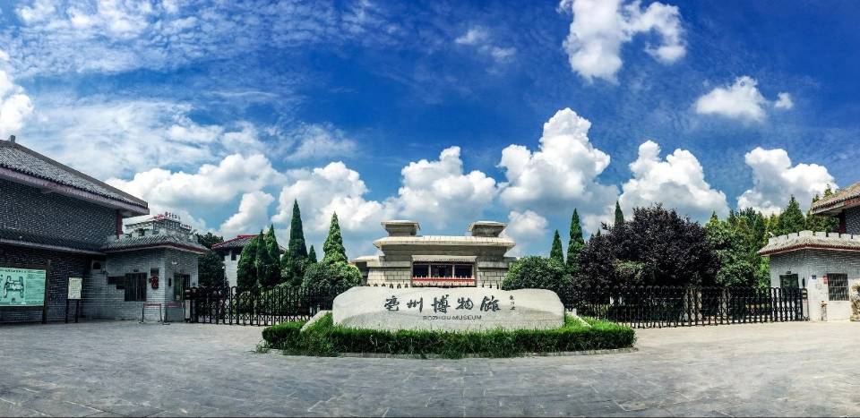 淮師學子三下鄉∶深耕亳州沃土，云聚紅跡鑄新篇