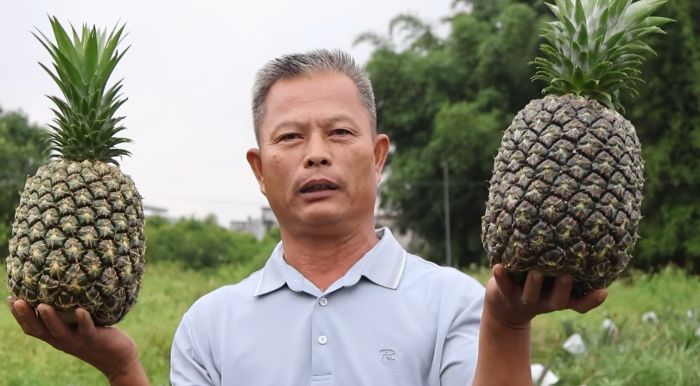 “戰前”磨劍，只為直播高光