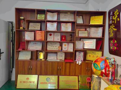 繡球魅力煥新生，四海傳揚(yáng)壯鄉(xiāng)情——廣西師大“錦繡探秘”實(shí)踐團(tuán)靖西調(diào)研