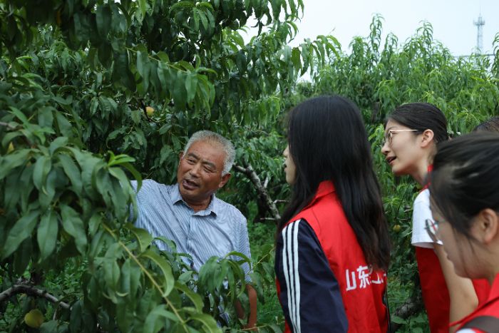 山東理工大學管理學院循“蒙”而行實踐團赴臨沂市平邑縣康泰果品種植專業合作社開展實踐調研