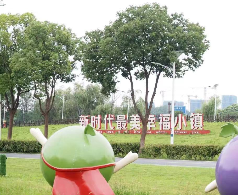 淮北師范大學“薦家鄉特產，助鄉村發展”實踐團——探訪合肥市大圩鎮