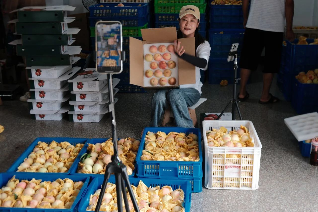 奉化水蜜桃香飄千里，寧大學子青春灑桃林