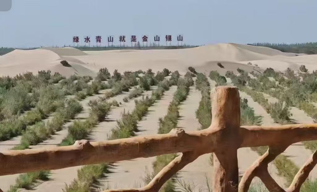 青春力量扎根邊疆 沙海織綠共譜新篇