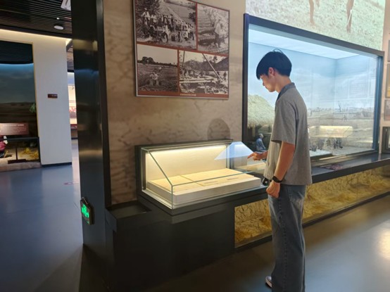 淮師學子三下鄉：走進合肥小井莊，探尋改革與振興脈絡