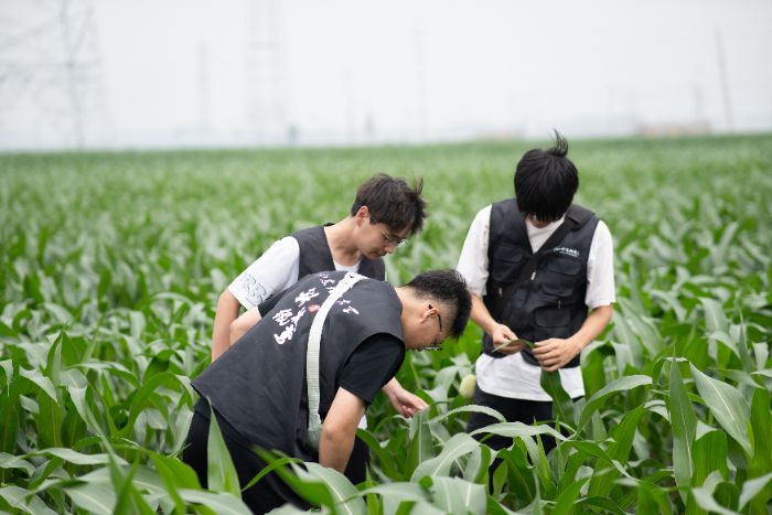 科技紙鳶實踐團隊開展對農作物種植情況和基礎設施的無人機圖像采集工作