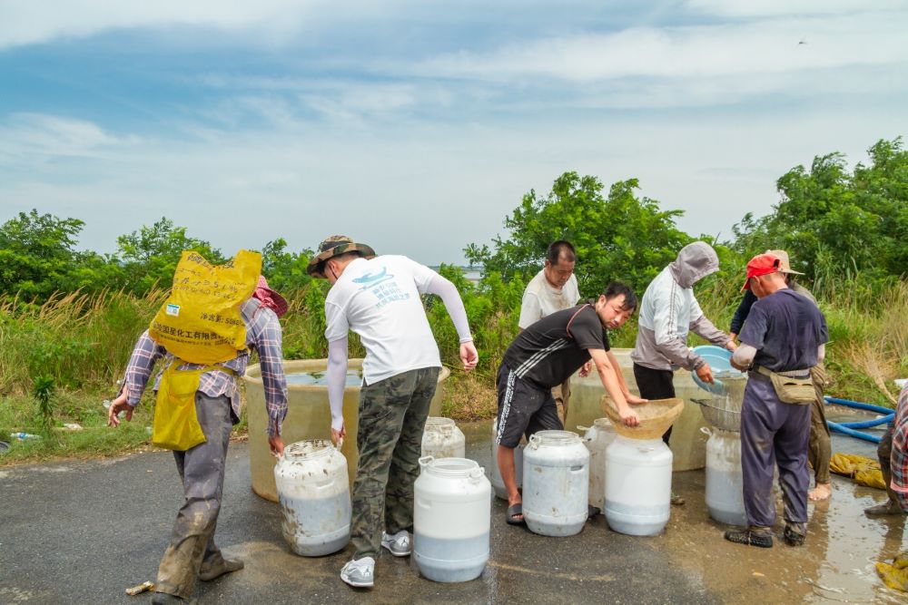 電子信息工程學院：黃螺綻放新光彩 文脈綿延勞模歌