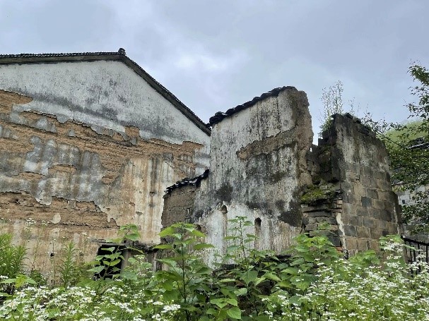 高塢嶺村調研見聞：規劃設計新思考