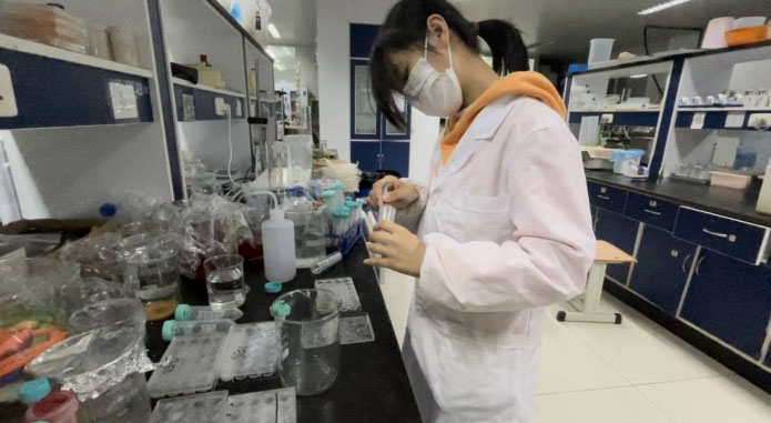 山東大學(xué)（威海）“菌子之膠”科研實(shí)踐活動(dòng)團(tuán)隊(duì)完成水凝膠的實(shí)驗(yàn)室實(shí)驗(yàn)制備工作