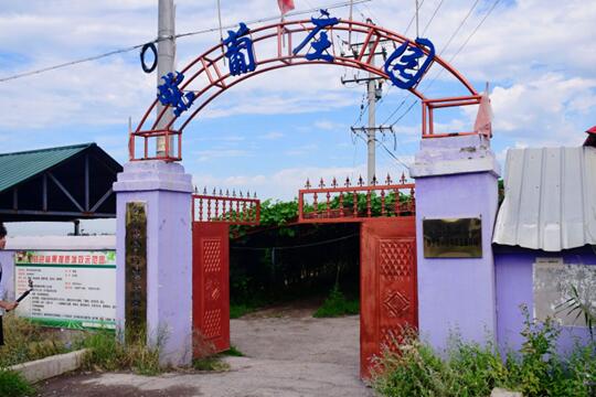 南京財經大學“疆禾”團隊專訪紫葡莊園：探索新疆葡萄產業發展新路徑