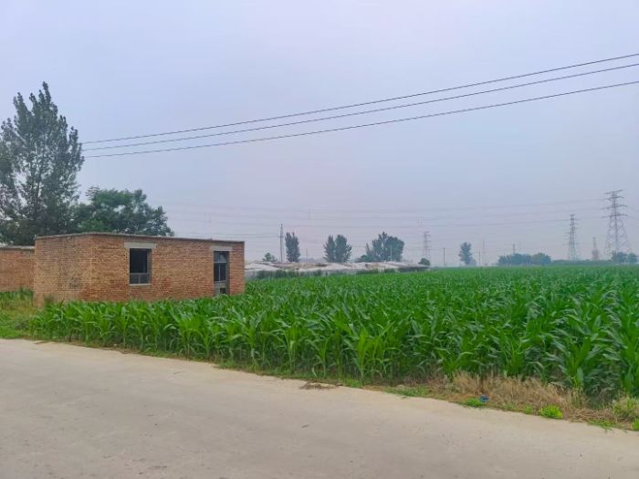 科技紙鳶實踐團在盛屯村開展罌粟巡檢調研，科技助力禁種鏟毒