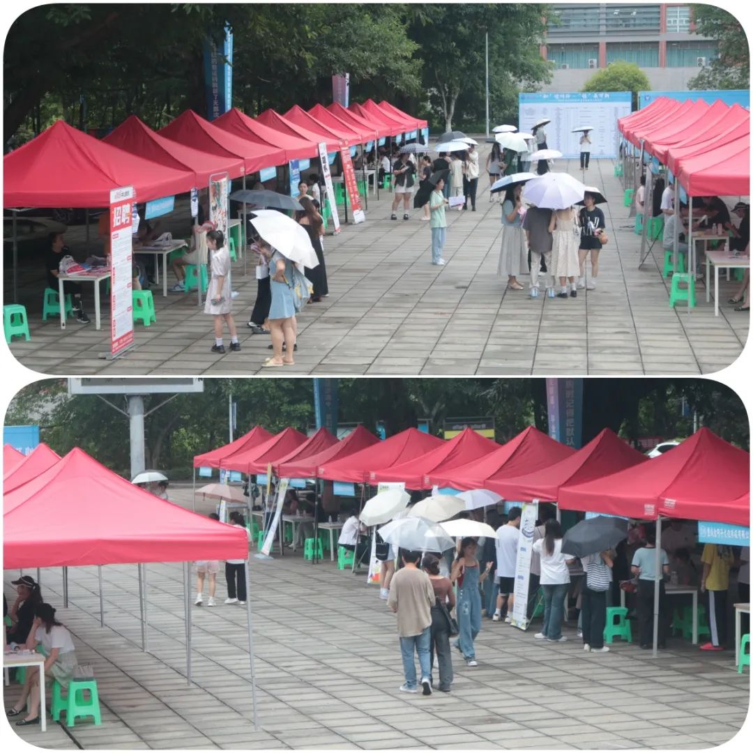 “職”途同行·“位”來可期——淬煉商學院2026屆畢業生就業實習雙選會