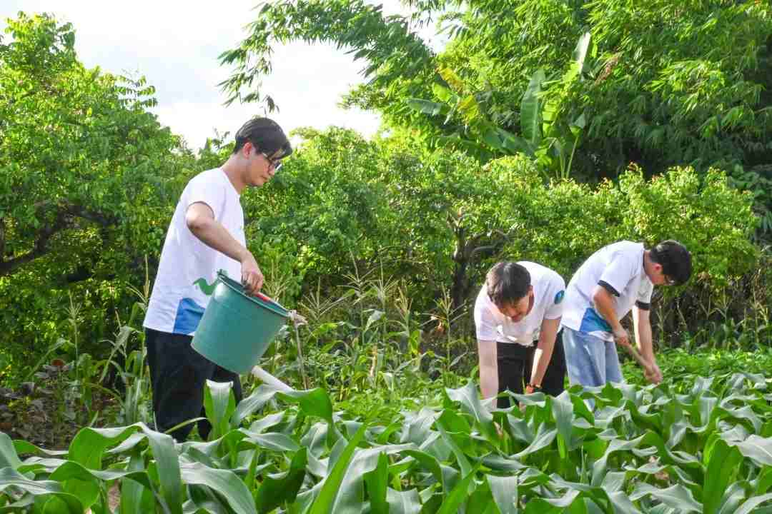 牛舞英韻特輯|潮采鄉野間，振興譜新篇