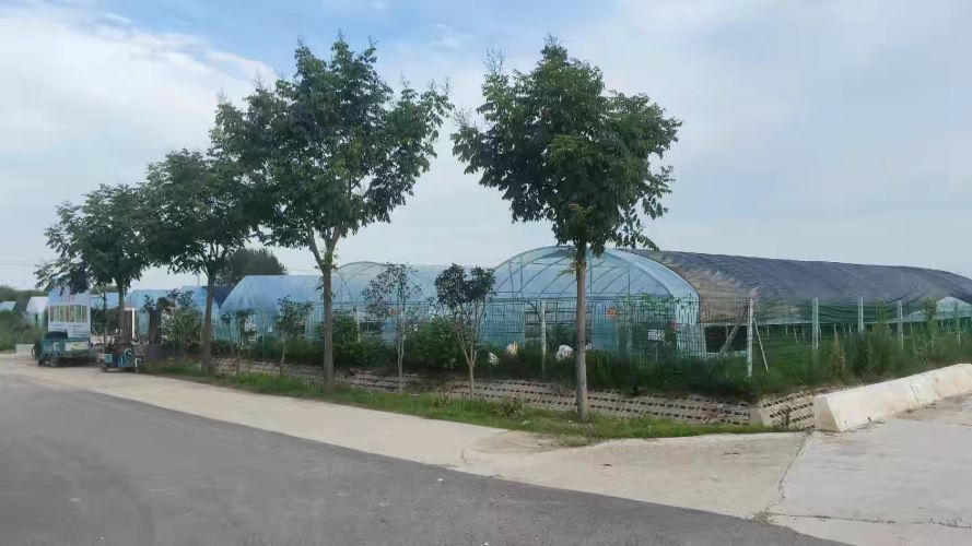 農業高科技產品：引領農業新變革與農民新需求