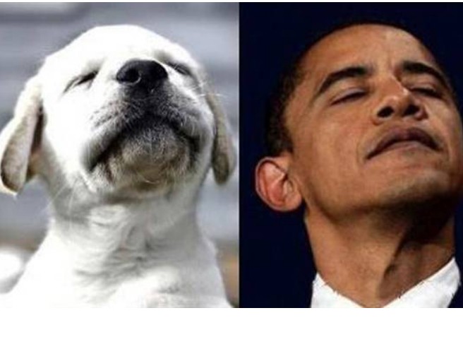 牛人盛典之絕頂牛人大全集