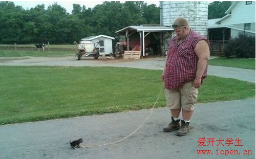 外國人遛狗就是和我們國人不一樣，遛狗都這么有個性