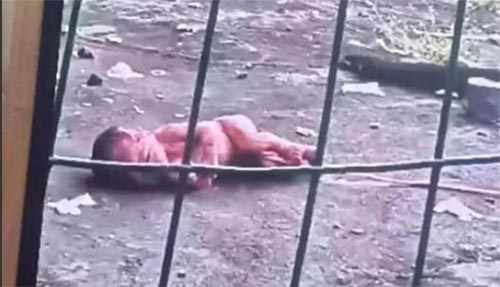 女大學生宿舍產(chǎn)子當場丟棄到宿舍外