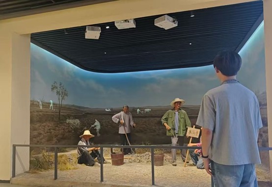 淮師學子三下鄉合肥小井莊：追溯改革之源，踐行青春使命