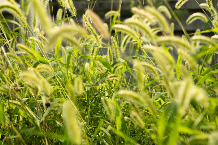 個人感悟|河海大學“追光”支教團吳夢晴