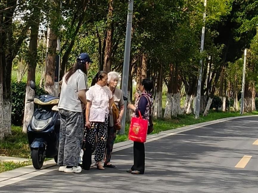 下鄉(xiāng)研土地根脈，螢火助鄉(xiāng)村振興